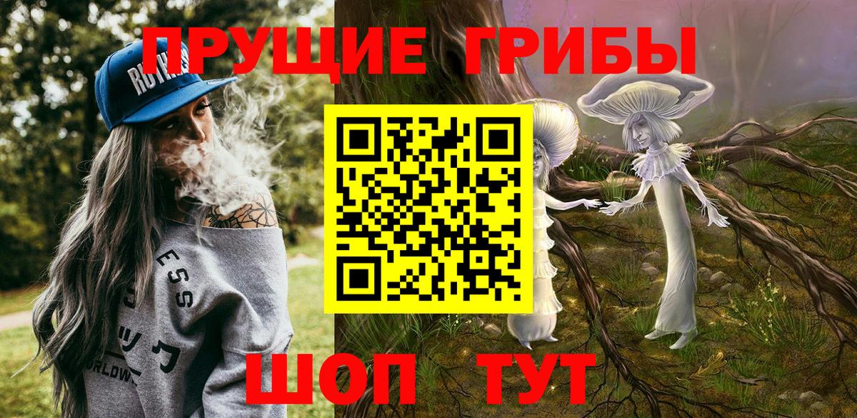 Кропоткин  Галлюциногенные грибы ЛСД  Вход с VPN  Галлюциногенные грибы Psilocybe 